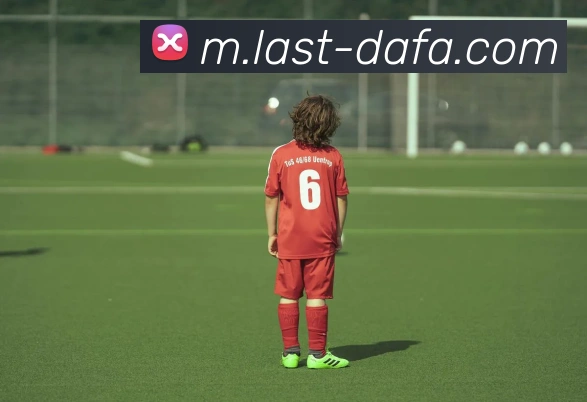 大发彩票平台生态图