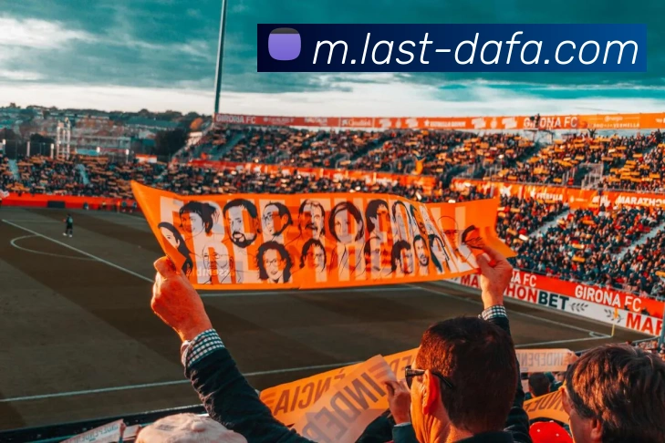 大发彩票APP 封面图